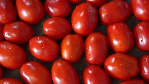 Tomato1 Stock Footage 343502540