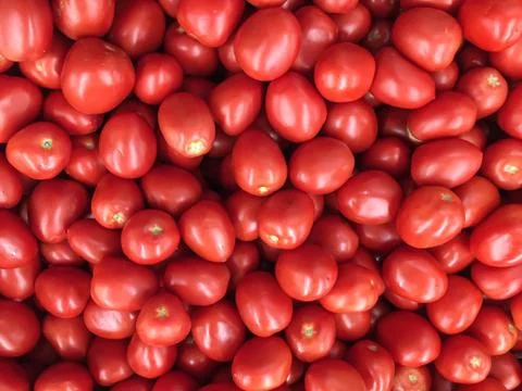 Tomatoe - Jitomates Stock Photos