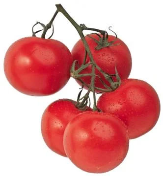 Tomatoe Stock-Fotos