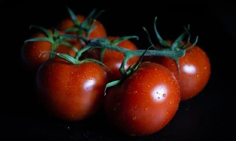 Tomatoes 2 Stock Photos