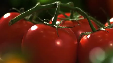 Tomatoes 20110324064133 Stock Footage 12532126