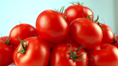 Tomatoes 5 Video stock 140358838
