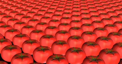 Tomatoes aerial view Stock Footage 102924402