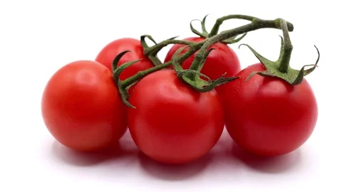 Tomatoes against white background Video stock 280080555