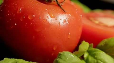 Tomatoes and Basil Видео 14864547