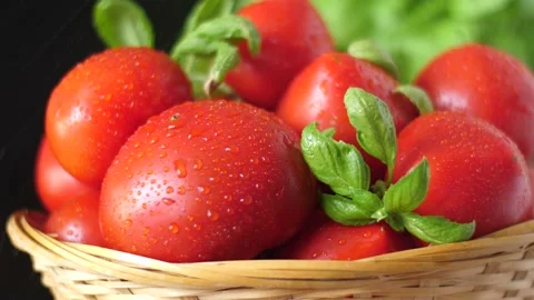 Tomatoes and Basil Stock Footage 142189198