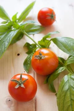 Tomatoes and basil Stock Photos