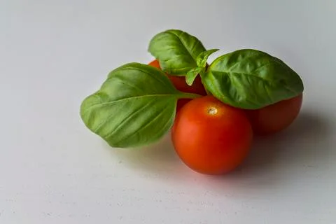 Tomatoes and basil Fotos de archivo