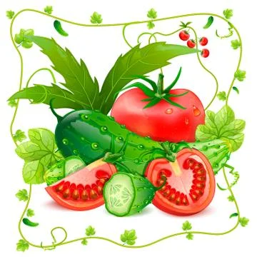 Tomatoes and cucumbers Stock Illustration