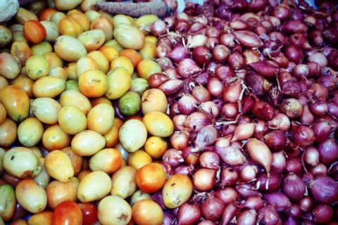 TOMATOES AND ONIONS Stock Photos