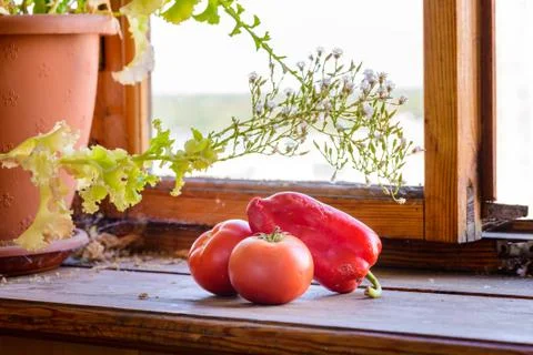 Tomatoes and pepper Fotos Stock