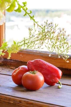Tomatoes and pepper 写真素材