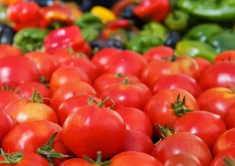 Tomatoes and peppers Stock Photos