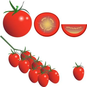 Tomatoes and slice of tomato graphic illustration group set, flat colorful desig Stock Illustration