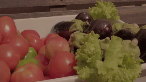 Tomatoes and vegetables Stock Footage 142177129