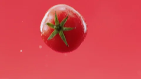 Tomatoes are jumping on a red background. Stock Footage 128439302