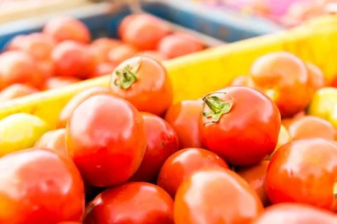 Tomatoes background. group of tomatoes Stock Photos
