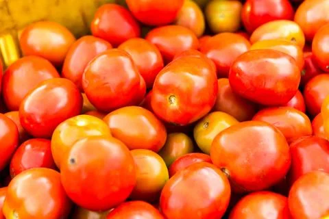 Tomatoes background. group of tomatoes Foto stock
