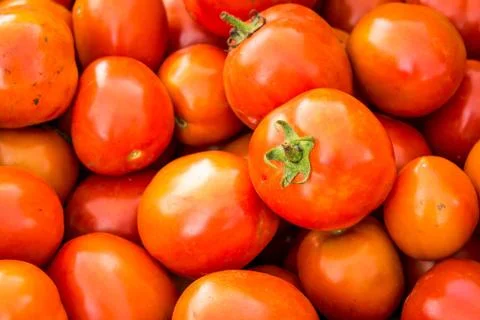 Tomatoes background. group of tomatoes Stock Photos