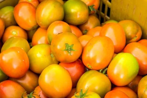 Tomatoes background. group of tomatoes Stockfoto's