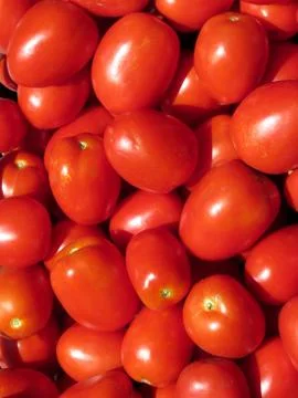 Tomatoes background Stock Photos