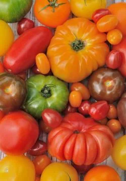 Tomatoes background Stock Photos