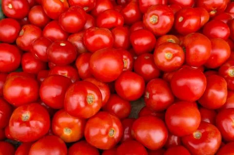 Tomatoes background, texture. Ripe red round gourmet tomatoes food background Stock Photos