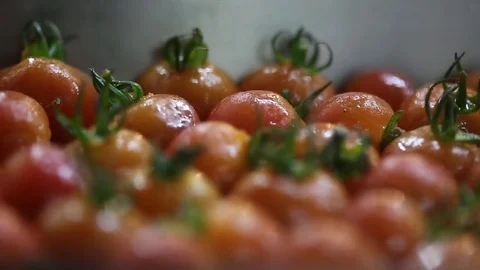 Tomatoes baking Stock Footage 77669269