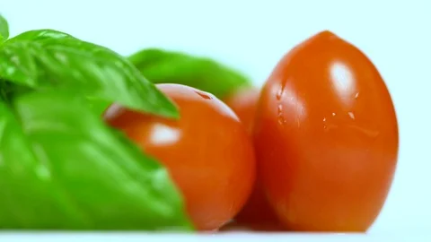 Tomatoes with basil and drop of water Stock Footage 94445645