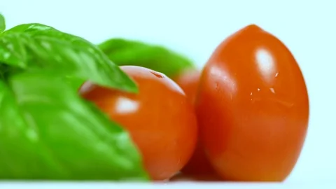 Tomatoes with basil and drop of water 1 Stock Footage 94445732