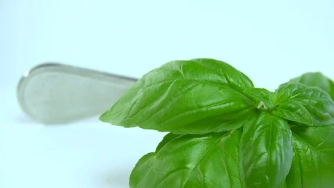 Tomatoes with basil and fork on the background Stock Footage 94445746