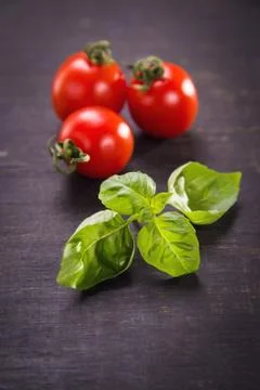 Tomatoes with basil 스톡 사진