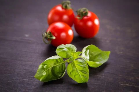 Tomatoes with basil Stock Photos