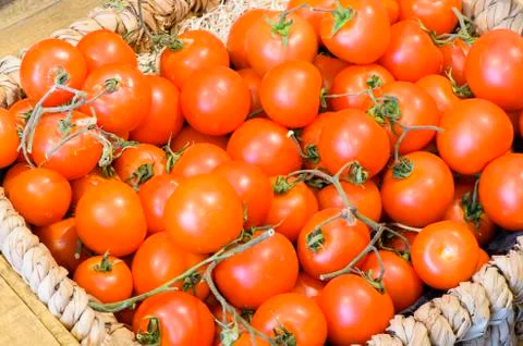 Tomatoes in basket Stock Photos