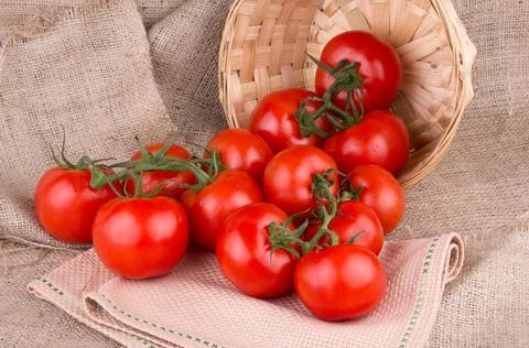 Tomatoes in basket Stock Photos