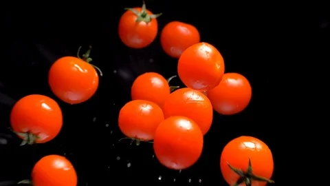 Tomatoes on a black background approach the lens. Slow motion Видео 104631237