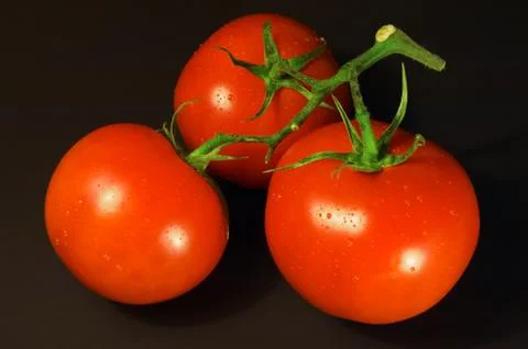 Tomatoes on black background Stock Photos