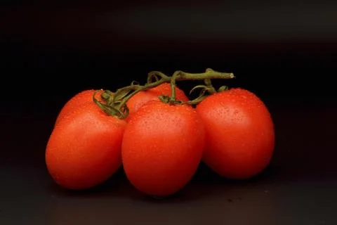 Tomatoes  on black background Fotos de archivo