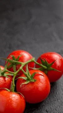 Tomatoes on black background. Stock Photos