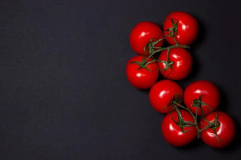 Tomatoes on a black background. Tomatoes on a vine on a dark background. Stock Photos