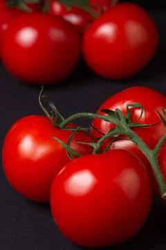 Tomatoes on a black background. Tomatoes on a vine on a dark background. Stock Photos