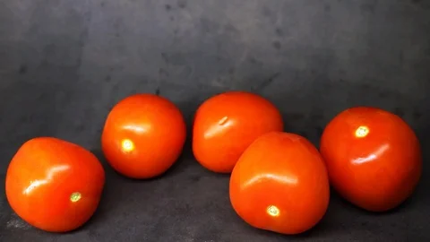 Tomatoes on a black background. vegetables on black background. Stock Footage 99587126