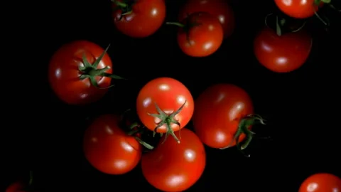 Tomatoes bouncing against to the camera Stock Footage 87250779