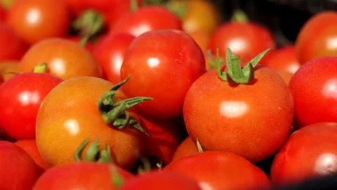 Tomatoes in a box Stock Footage 83502146
