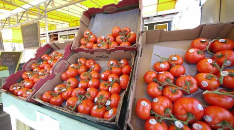 Tomatoes in box pan Stock Footage 27343596