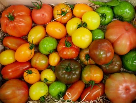 Tomatoes In Box Stock Photos
