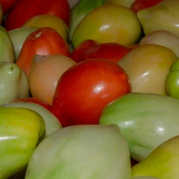 Tomatoes in a box Stock Photos