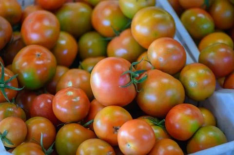 Tomatoes in a box in a store in Cyprus 3 Foto stock