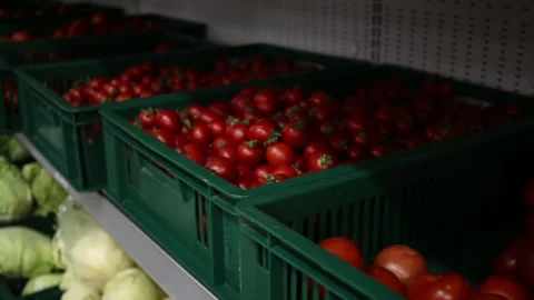 Tomatoes in boxes in the supermarket on the shelf Video stock 133632939