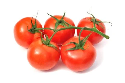 Tomatoes on branch isolated Foto stock